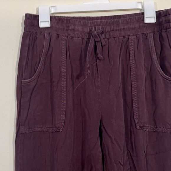 American Eagle Burgundy Casual Relaxed Joggers - Picture 3 of 5
